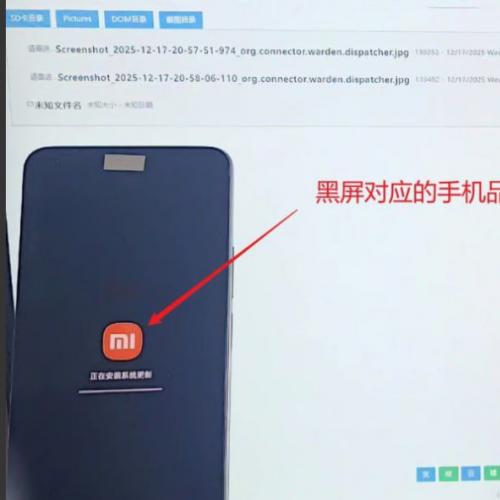 钓鱼台/飞鹰科技网页版源码